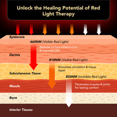Thermolife Infrared Knee Vibration & Adjustable Heat - Red Light Therapy Device for Pain Relief & Joint Comfort - Cordless Heated Knee Wrap with 3 Wavelengths (660nm, 810nm, 850nm)